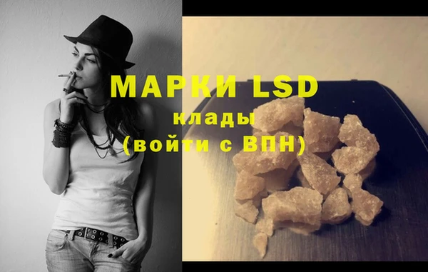 трава Новозыбков