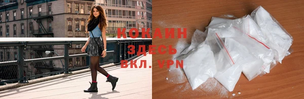 трава Новозыбков