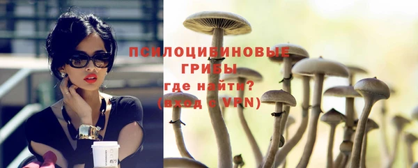 трава Новозыбков