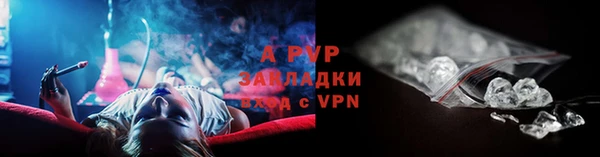 трава Новозыбков