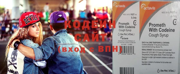 трава Новозыбков