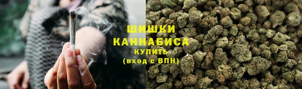 трава Новозыбков