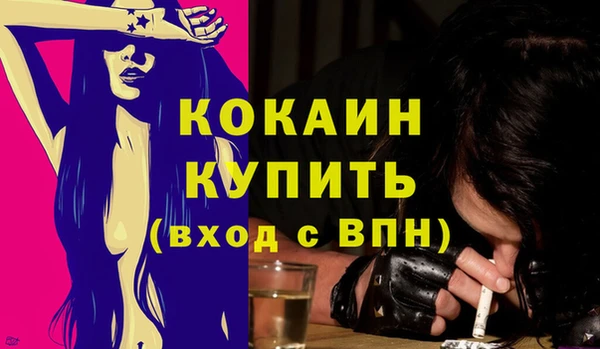 трава Новозыбков
