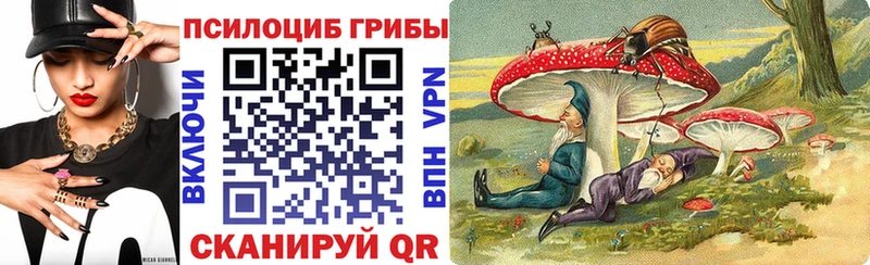 Псилоцибиновые грибы GOLDEN TEACHER  Усмань 